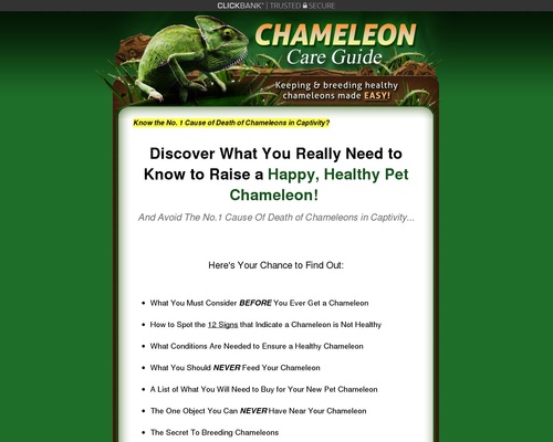 Chameleon Care Guide - Keeping and Breeding Healthy Chameleons Made