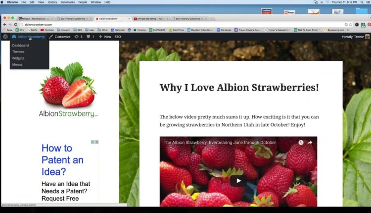 Adding Your Affiliate Hop Link From ClickBank.com to your Blog/Website