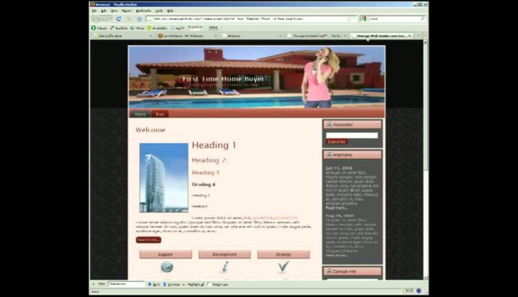 Part 1TZ DWS how to dominate a niche in 90 days