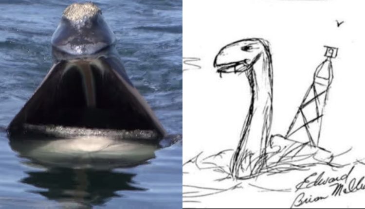 A Florida Teen Said A ‘Sea Monster’ Killed Four Of His Friends