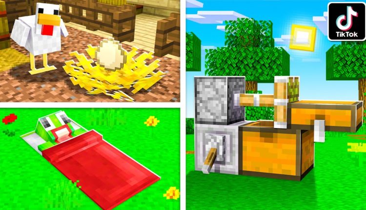 10 VIRAL TIKTOK MINECRAFT HACKS To Improve Your HOUSE in MINECRAFT!
